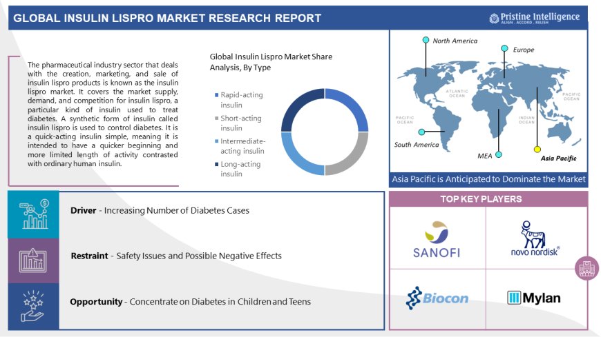 Insulin Lispro Market Forecast 2024-2032 - Major Trends, Segments And Fastest Growing Regions