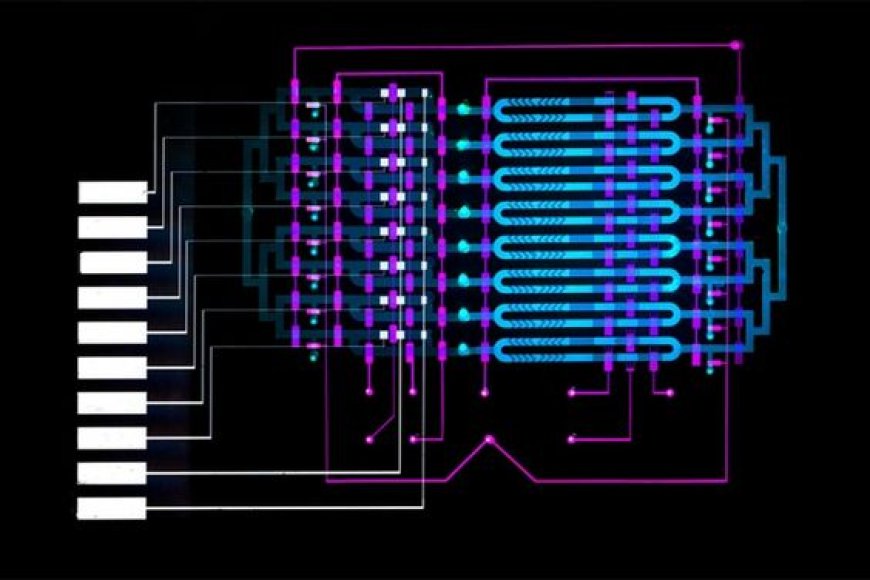 "North America's Cutting-Edge Microfluidic Technology for Your Lab"