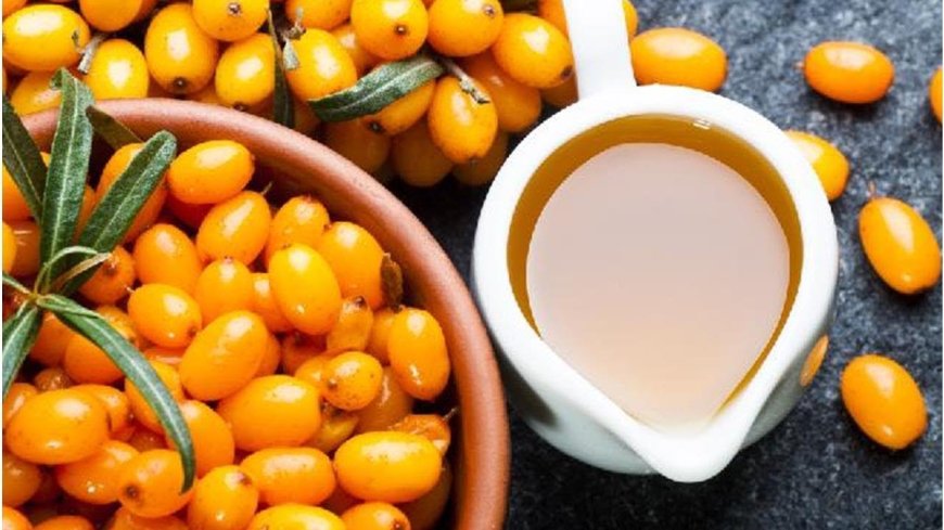 Sea Buckthorn Market Growth Surges Amid Health Awareness Trends