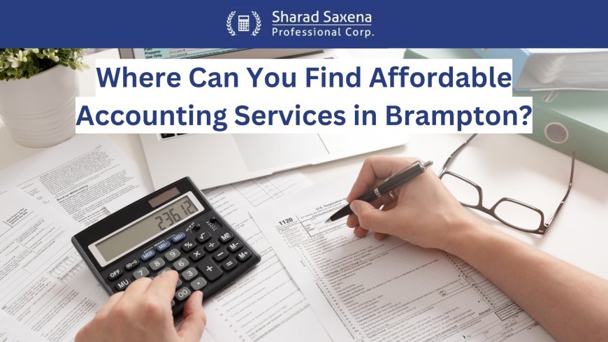 Where Can You Find Affordable Accounting Services in Brampton?