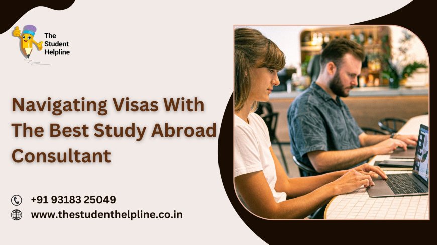 Navigating Visas With The Best Study Abroad Consultant