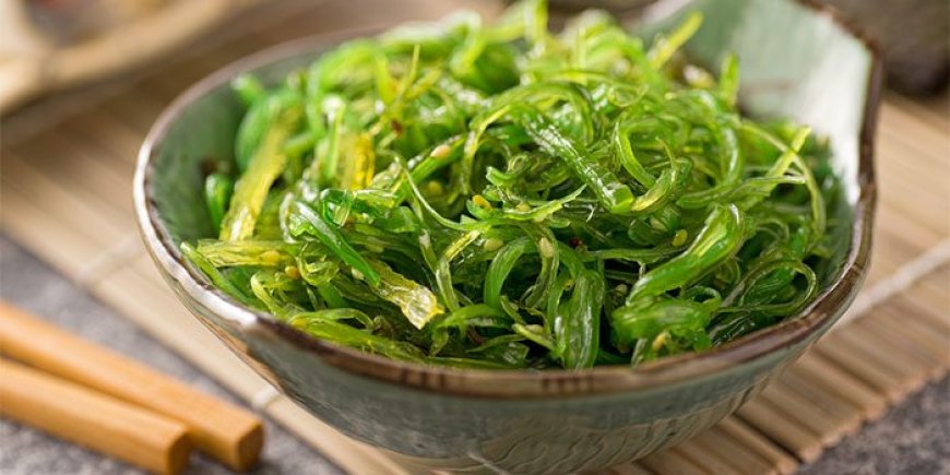 Seaweed Market Demand, Share, Growth Opportunities, and Forecast 2024-2032