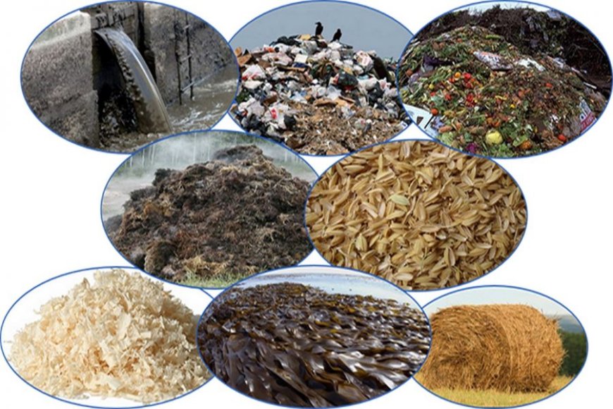 Competitive Landscape of Lignocellulosic Biomass Market: Key Players and Strategies