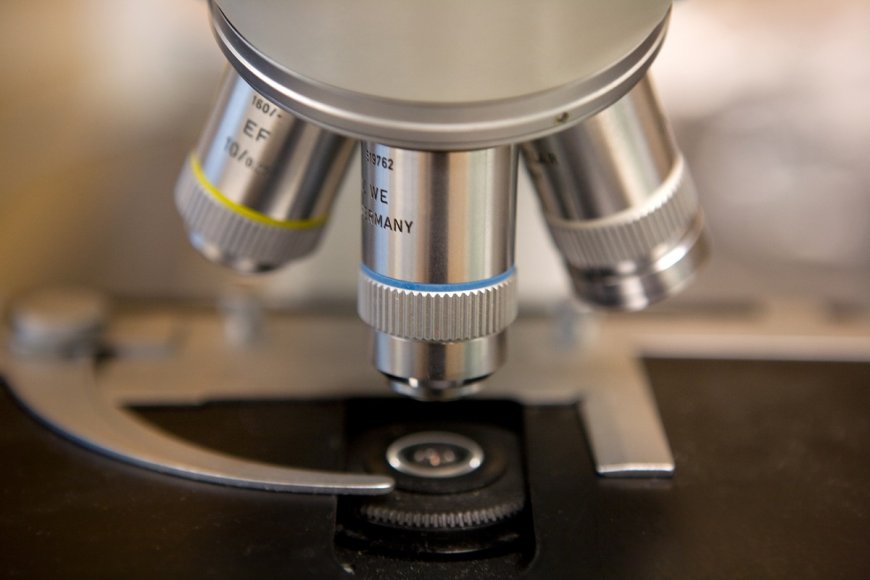 Acoustic Microscopy Market: Size, Share, Trends and Forecasts 2031