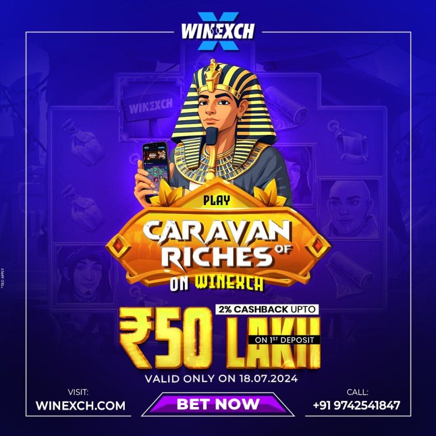 Play More Than 6000 Plus Games Only on WinExch