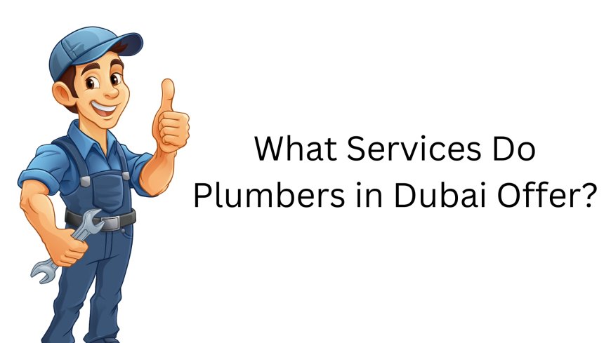 What Services Do Plumbers in Dubai Offer?