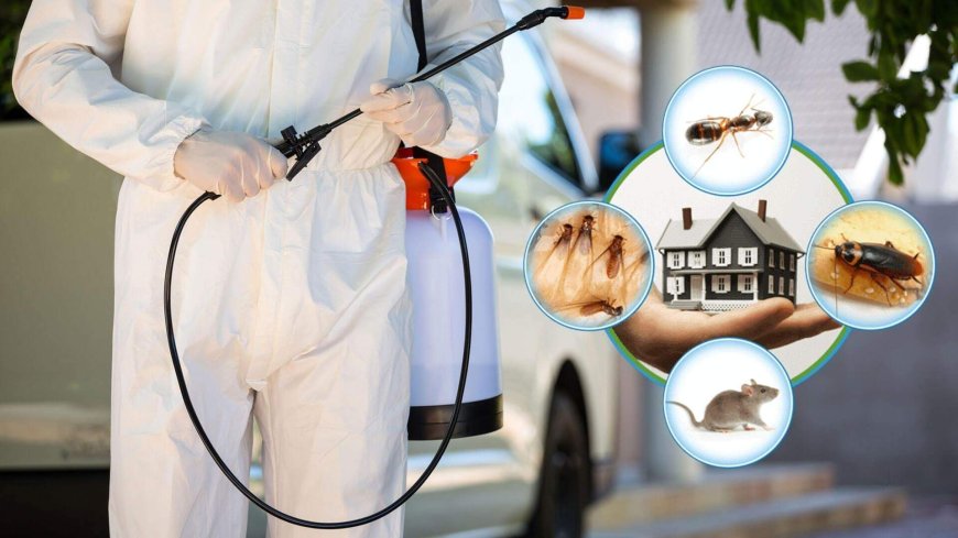 Top Residential Pest Control Companies for Effective Home Pest Management