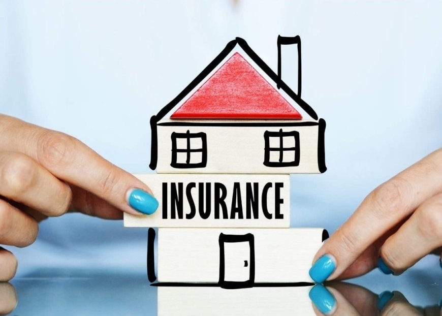 Comprehensive Insurance for Manufactured Homes in Florida: What You Need to Know