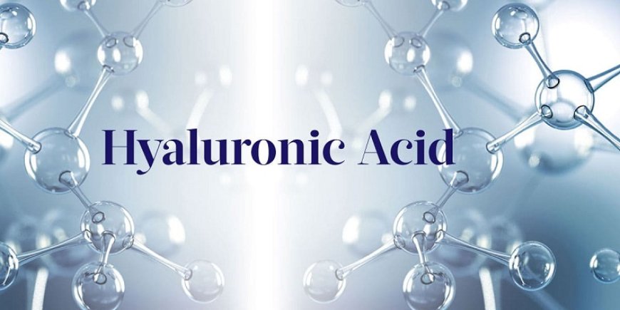 Hyaluronic Acid Supplement Market segment, Global Trends, Share, Industry Size, Growth, Demand, Opportunities and Forecast by 2034