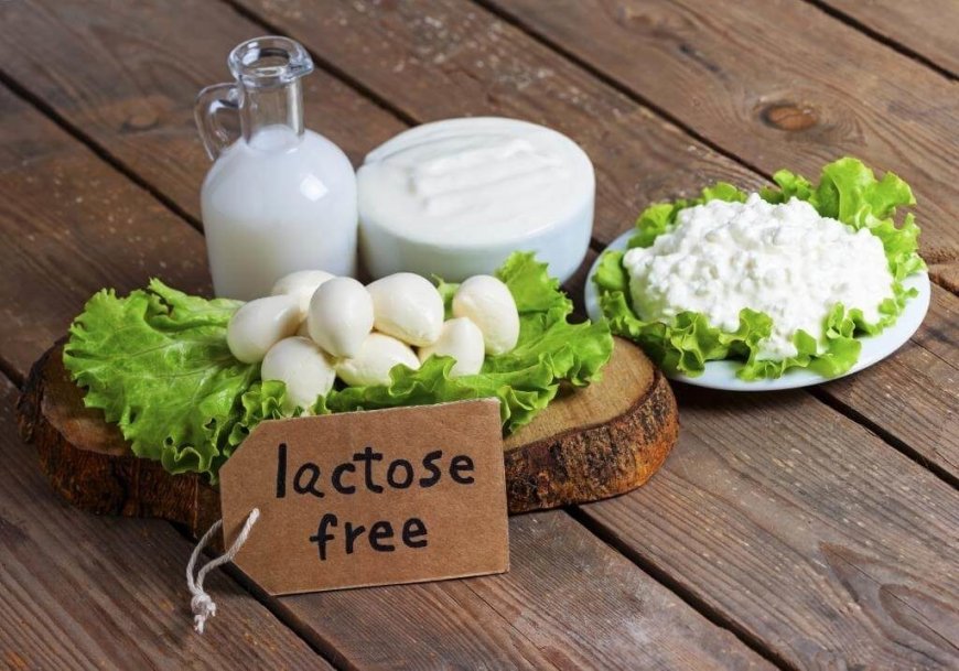 Lactose Market Size, Share, Price, Trends, Growth, Analysis, Report, Forecast 2033
