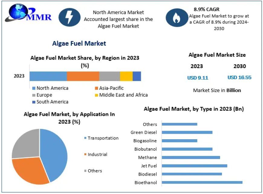 Algae Fuel Market   Global Outlook and Forecast 2021-2029