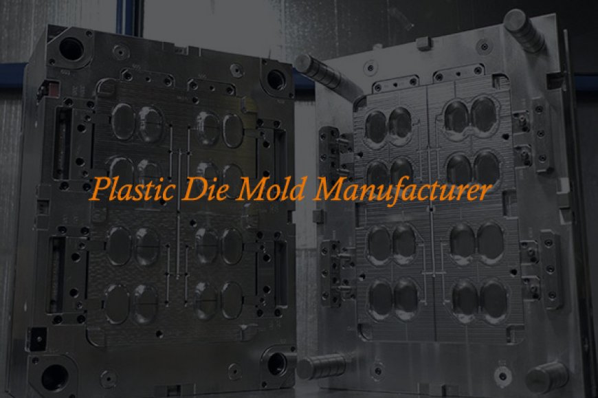 Consider The Following Factor While Selecting Plastic Die Mold Manufacturer