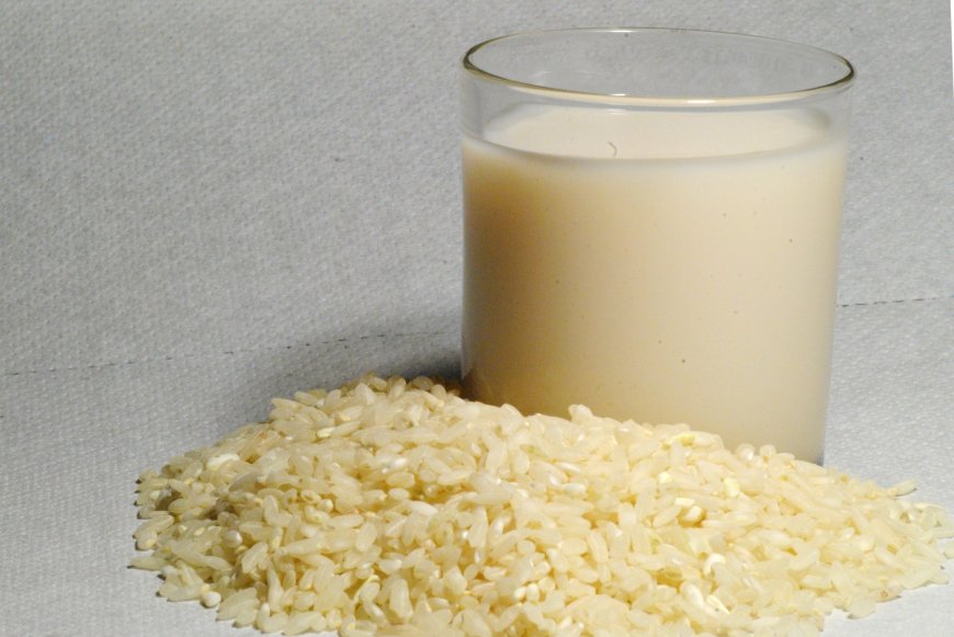 Rice Milk Market Dynamics, Trends, Growth Rate, Analysis, Report 2024-2032