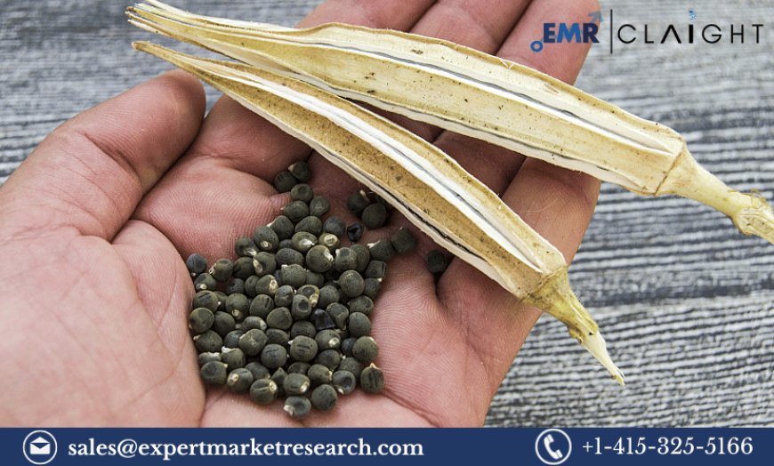 Okra Seed Market Size, Analysis, Trends & Forecast 2024-2032
