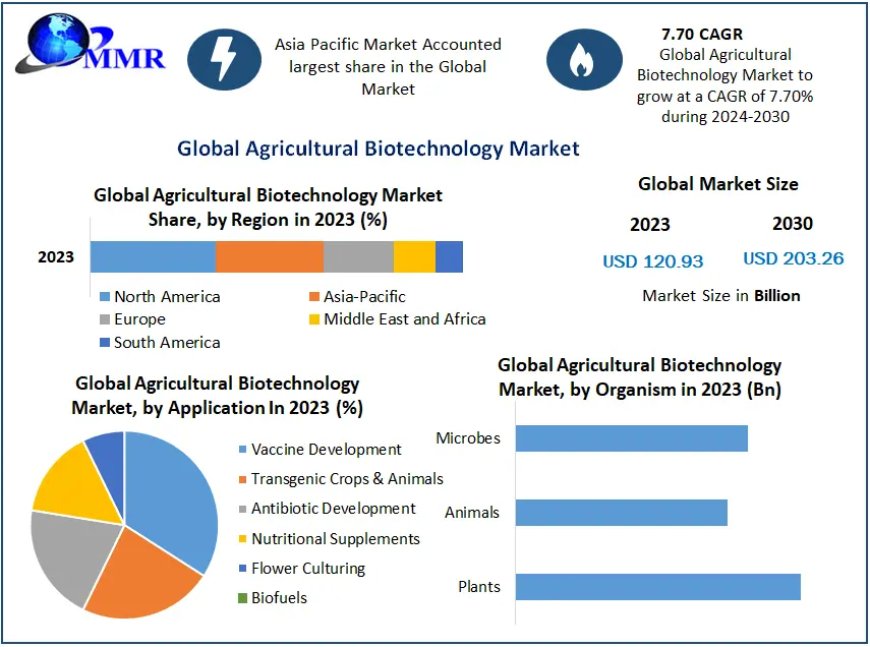 Agricultural Biotechnology Market Sales Revenue To 2024-2030