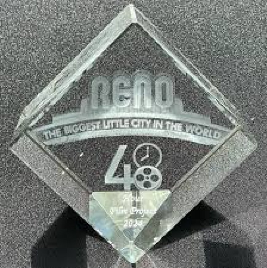 An Insight to 48 Reno Movie Awards in 2024