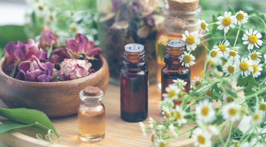 Aromatherapy Market Segments, Industry Growth, Size, Share and Forecast 2024-2032