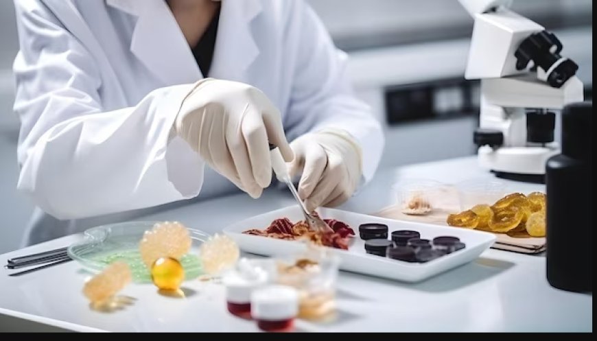 India Food Safety Testing Market is Booming with a CAGR of 7.40% by 2032