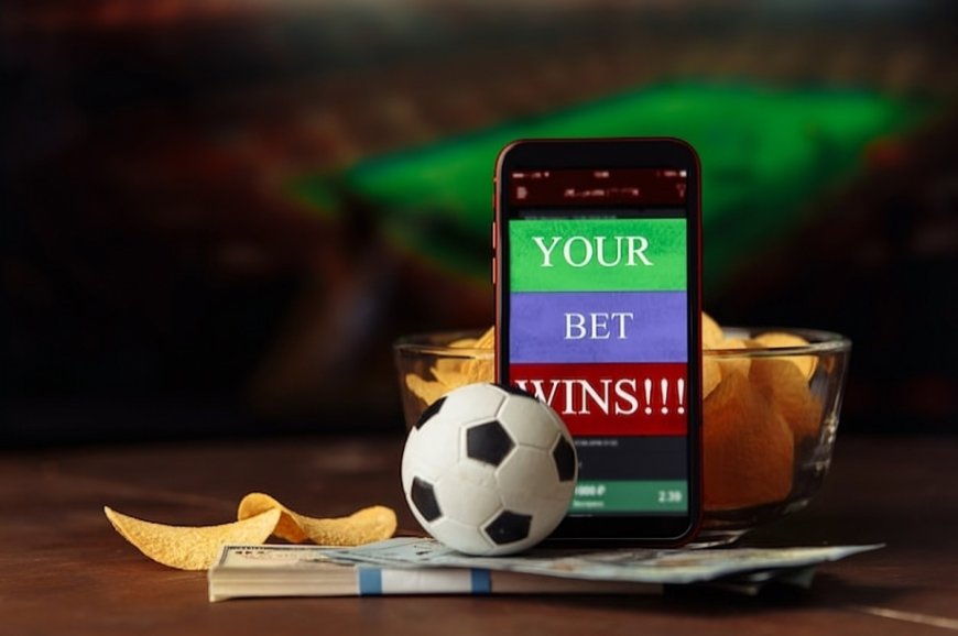 Why Sports Betting Operators Need Reliable Software Providers for Success