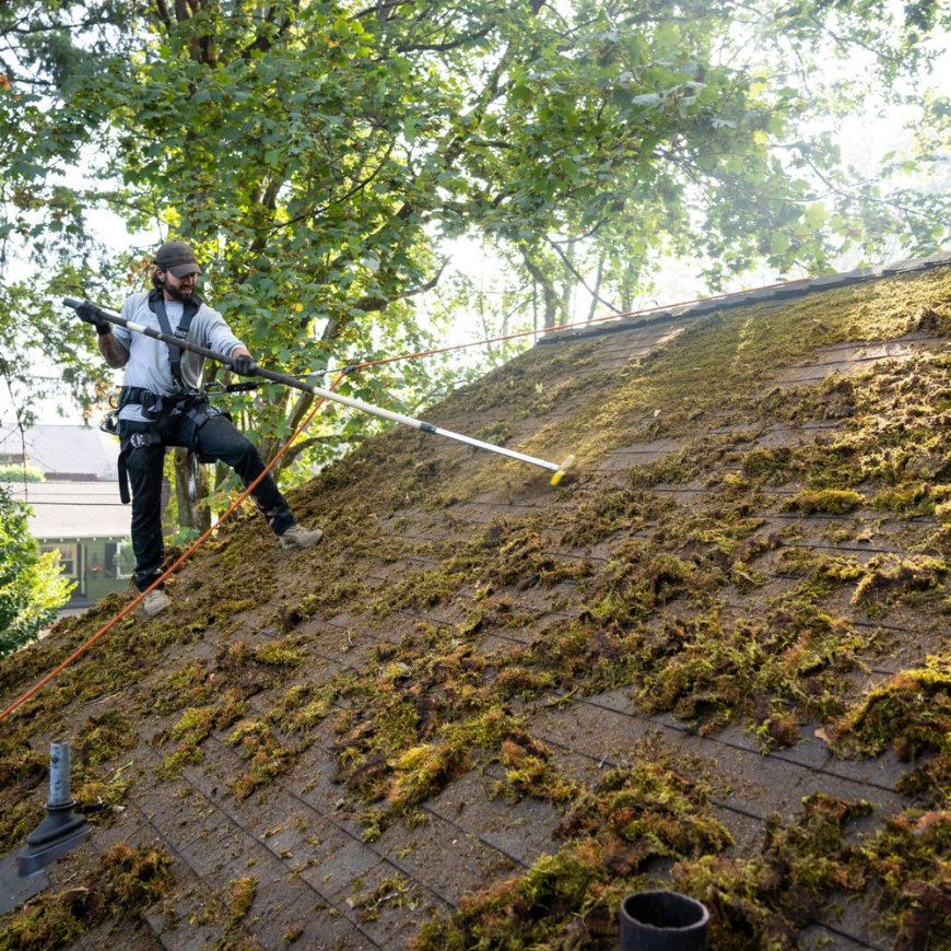 Maximize Your Home’s Protection: Comprehensive Gutter Cleaning in Portland