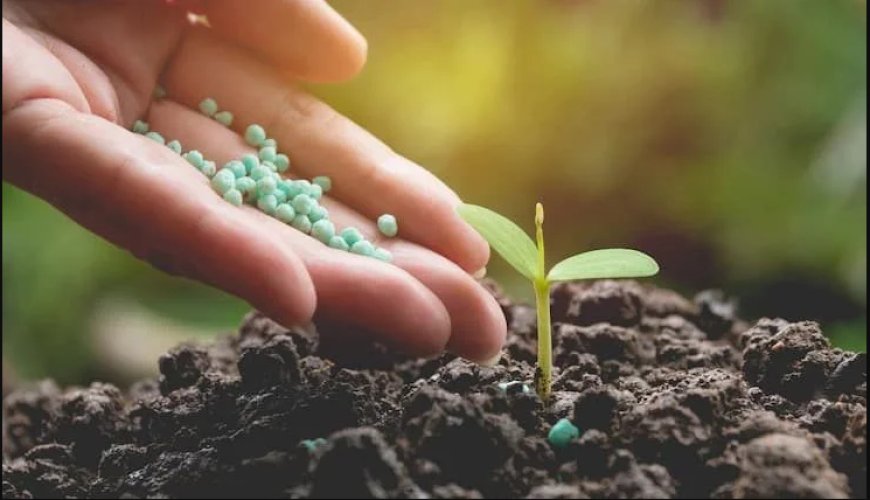 Biofertilizer Market Size, Share, Trends, Industry Analysis & Forecast Report 2024-2032