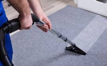 Enhancing Home Comfort and Health Through Professional Carpet Cleaning