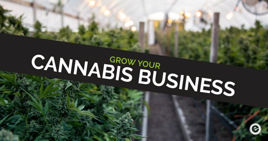 Cannabis Marketing: Strategies for Success in a Growing Industry