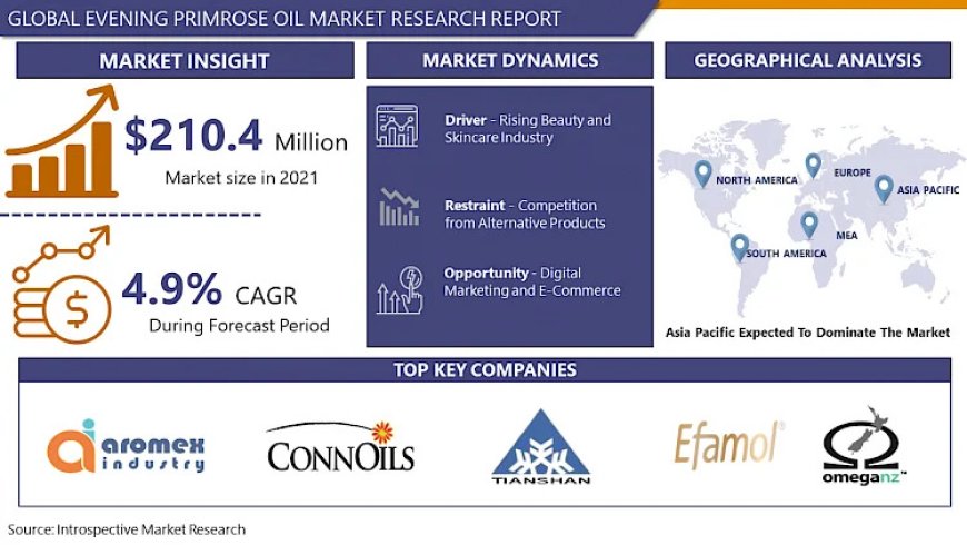 Evening Primrose Oil Market Business Insights with Key Trend Analysis | IMR