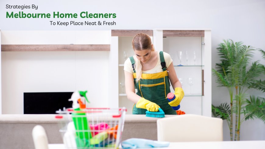 Strategies By Melbourne Home Cleaners to Keep Your Place Neat & Fresh