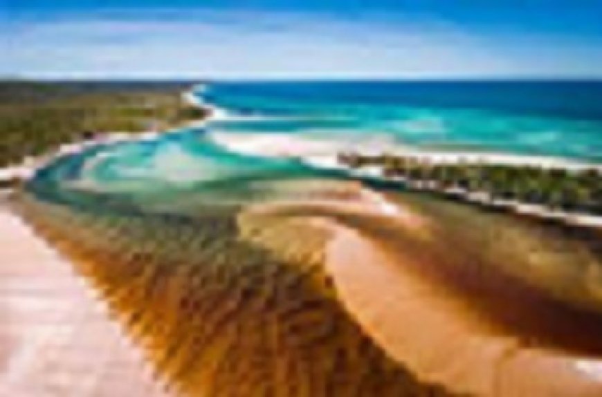 Unforgettable Fraser Island: Beach Houses and Adventure Tours Await