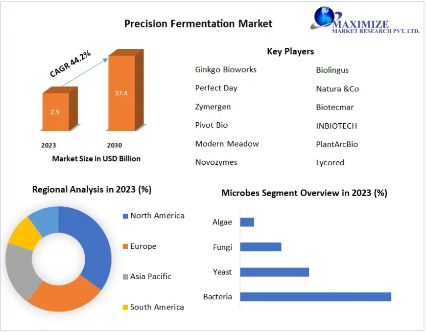 Precision Fermentation Market Detailed Analysis of Current Industry Trends, Growth Forecast To 2030