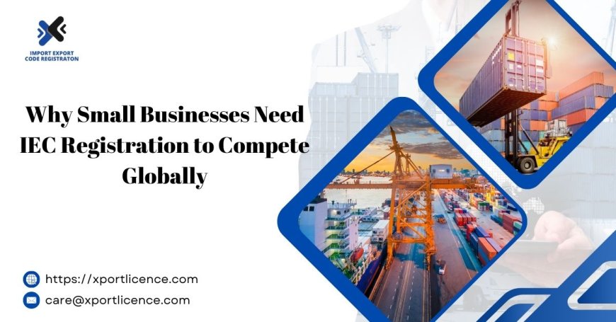 Why Small Businesses Need IEC Registration to Compete Globally