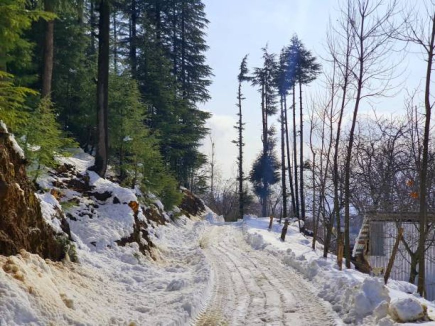 Kashmir Tours and Travels, Among other Tour Companies in Kashmir, are your Reliable Partners for Exploring Paradise