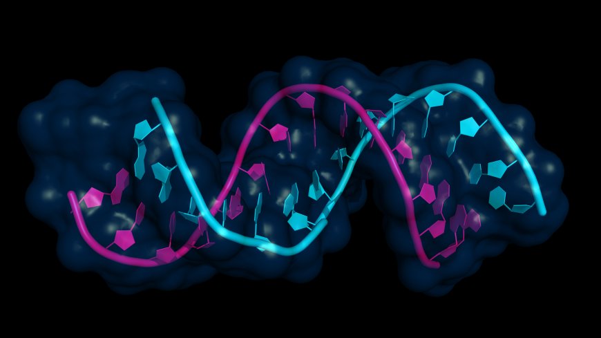 Europe Gene Expression Market Size, Share, Forecast 2024-2032