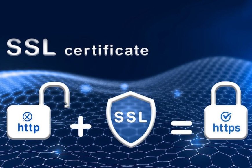 South Korea SSL Certificate Market Analysis, Size, Share, Growth, Trends, and Forecasts by 2031