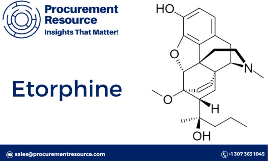 Etorphine Production Process with Cost Analysis