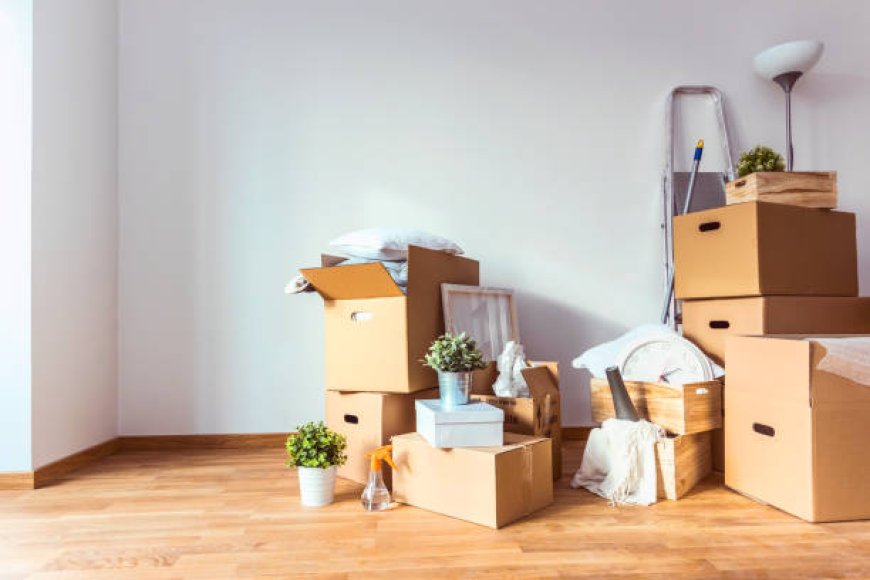 Movers and packers services