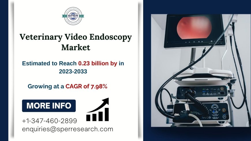 Veterinary Video Endoscopy Industry Outlook, Growth Potential, Key Players, and Future Opportunities to 2033: SPER Market Research Analysis