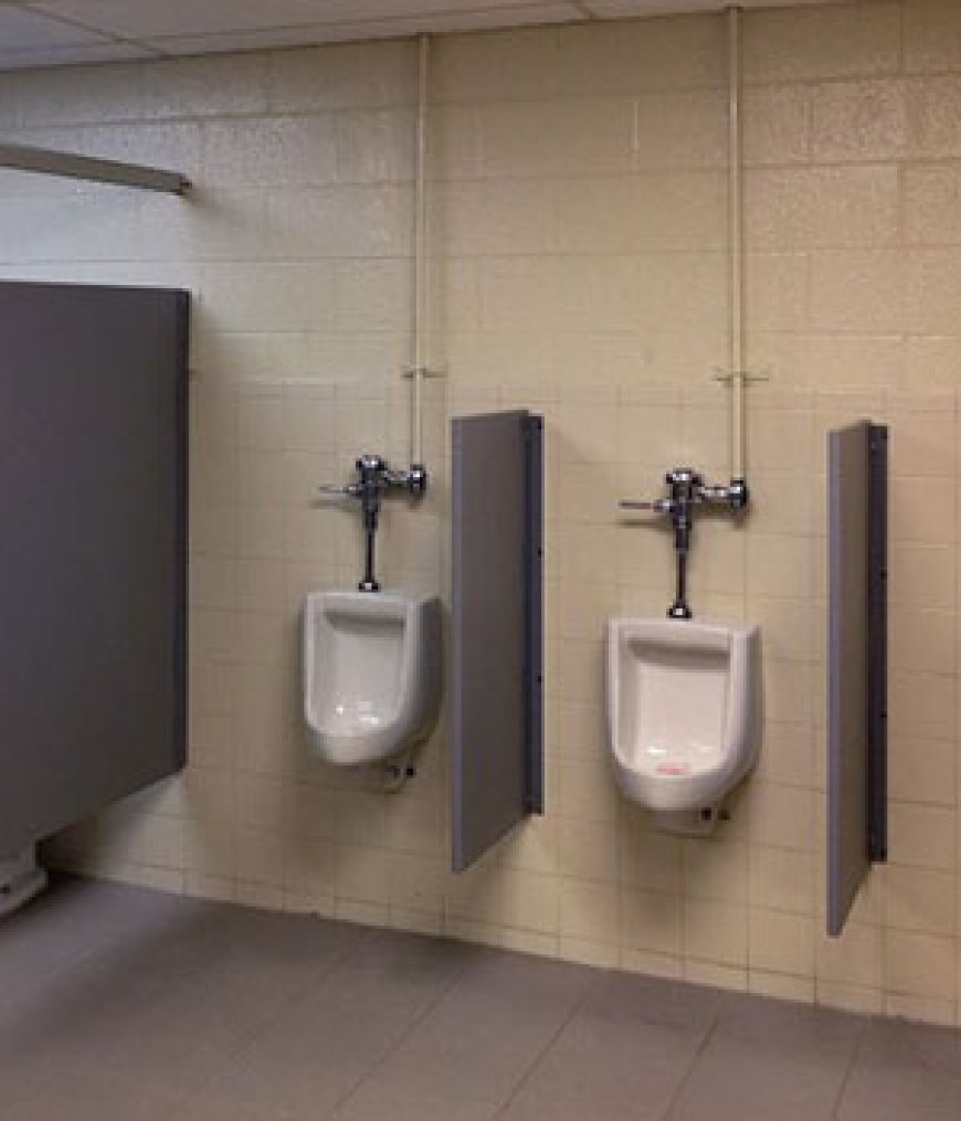 How to Select the Appropriate Toilet Cubicle Supplier for Your Organization