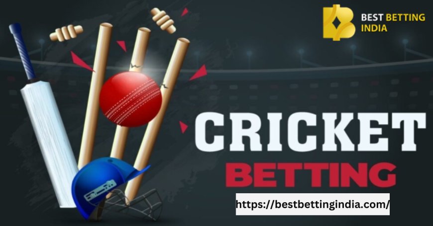 Online Betting ID | Best Cricket ID Platform in India 2024