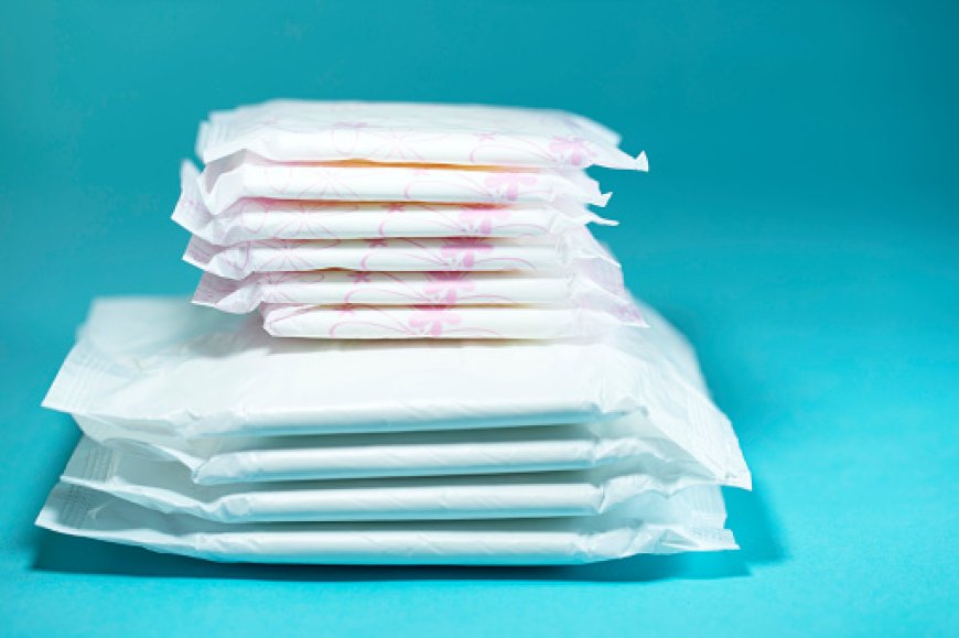 Sanitary Napkins Manufacturing Plant 2024: Detailed Project Report, Raw Materials Requirements, Cost and Revenue