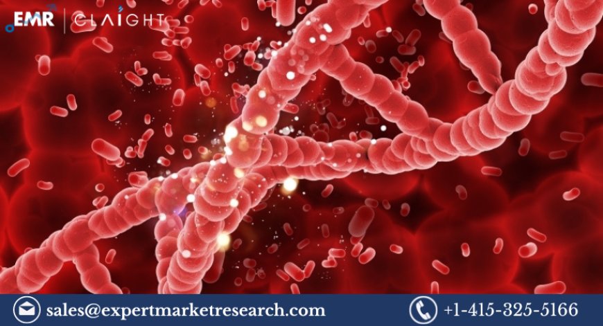 Rare Haematology Disorders Market Size, Share, Trends 2024-2032