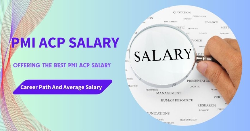 PMI ACP Salary: Global Trends for Certified Pros