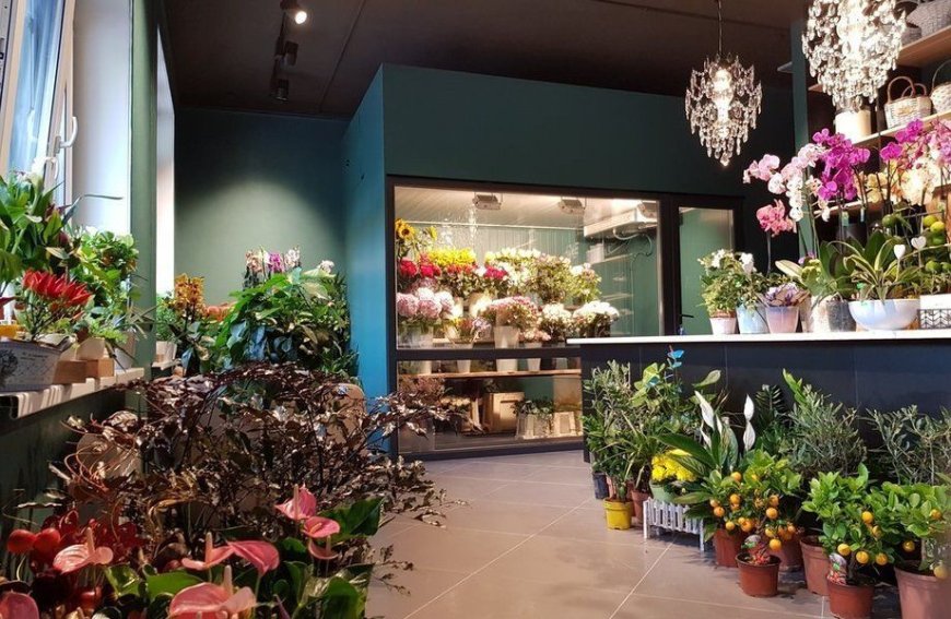 Looking for the Best Florists in Highland Beach, FL? Here’s What You Need to Know!