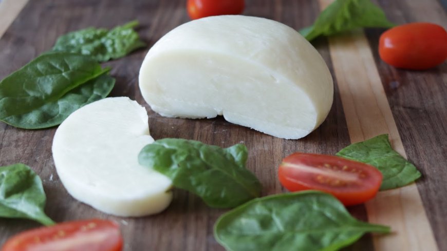 Mozzarella Cheese Market to Witness Growth owing to Increasing Demand from Food Service Industry