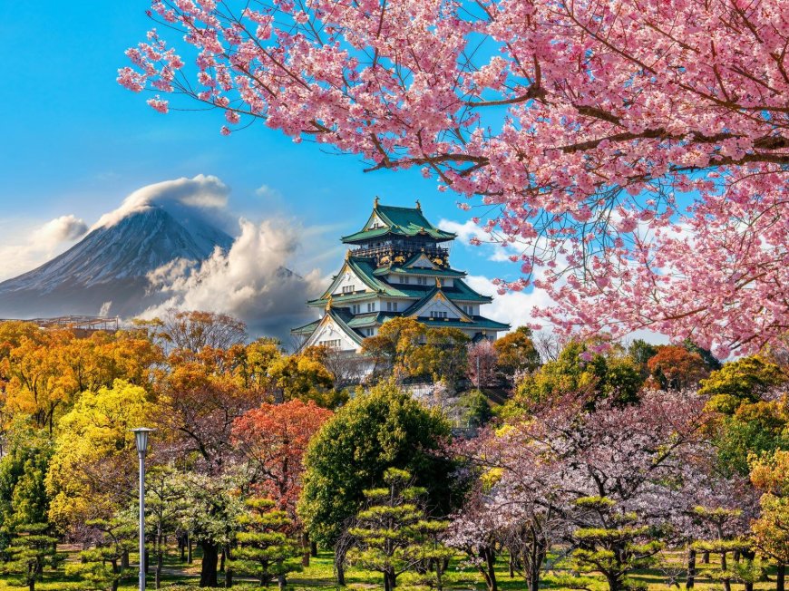 Your Essential Travel Guide to Japan