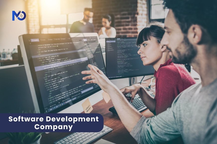 Why Your Business Needs a Software Development Company for Digital Success