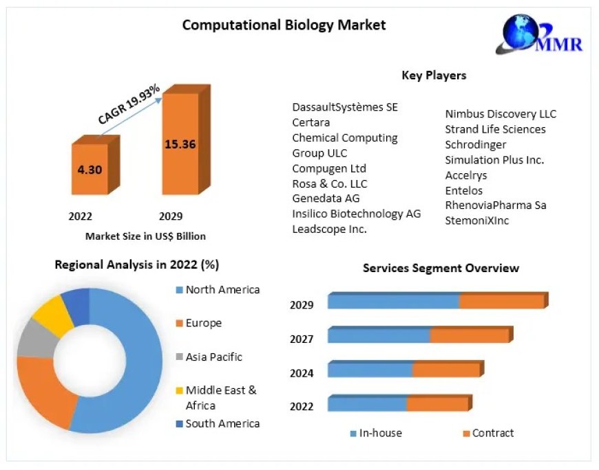 Computational Biology Market Revenue | Top Players Financial Performance | Trend Analysis 2029