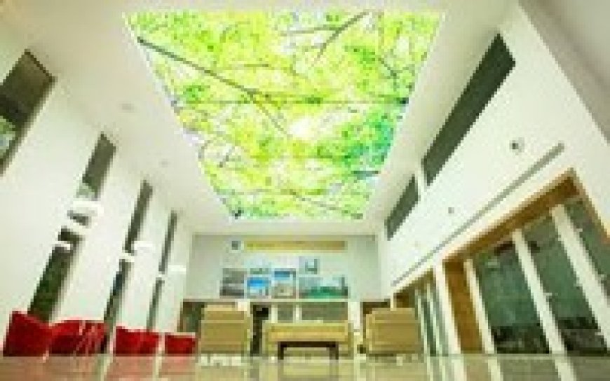 Stretch Ceilings: Elevate Your Space with Arrowoods Interiors