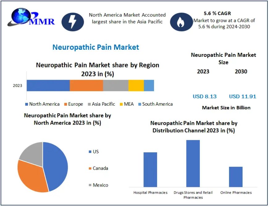 Global Neuropathic Pain Market size Witness Steady Expansion during 2030